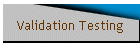 Validation Testing