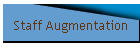 Staff Augmentation